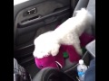 Vine Barney