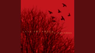 Download lagu Rachel and the storm mp3