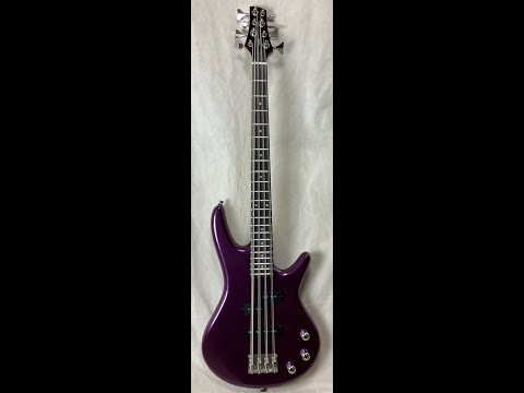 MORTone Electric 8 string bass Mikro bass conversion (made to order) image 8