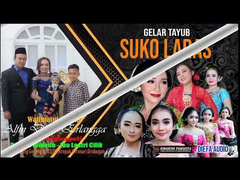 Lastri cilik duwe gawe // suko laras // diefa audio // Aksi pardi kucing Gendong Ledek