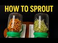 How To Use Sprout Maker Easy Sprouting At Home Sprout Maker Benefits Tips