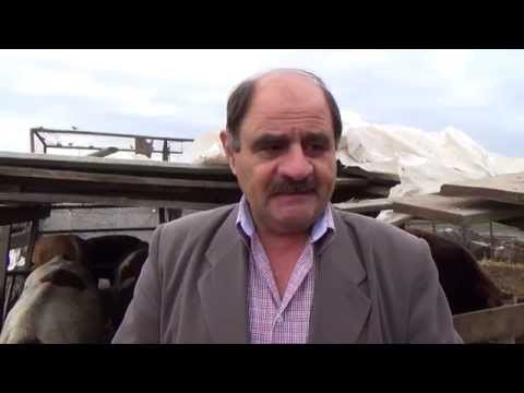 Interviu cu un fermier din Viisoara (30.09.2015)