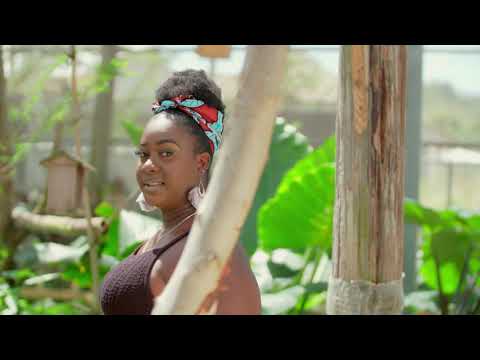 Red Eye Crew - High life [Music Video]