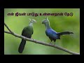 Whatsapp Status Tamil Lyrics