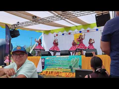 Fiesta del espárrago en Romeral, comuna de RETIRO, región del Maule 
