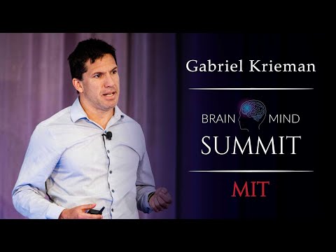 Gabriel Kreiman — Computational Confessions of the Human Brain