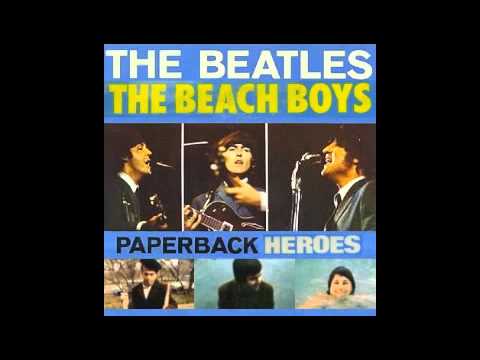 The Beatles & The Beach Boys Mashup - Paperback Heroes