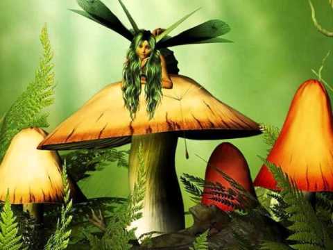 E Mov vs Conwerter - The Listener