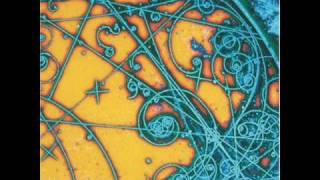 The Strokes - Soma