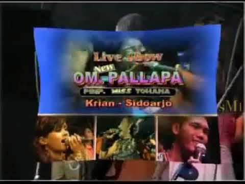 TAK JUJUR -denis arista- new paLLapa