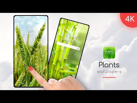 Plants Wallpapers in 4K