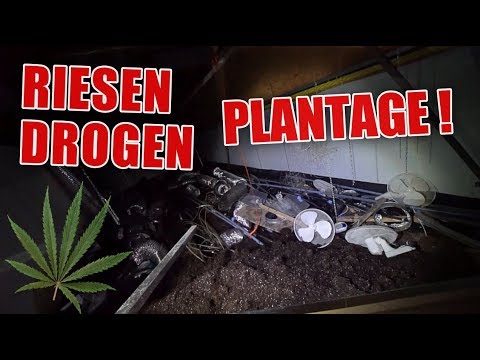 LOSTPLACE : Drogen im großen Stil angebaut ! Wahnsinns Anlage ! | ItsMarvin