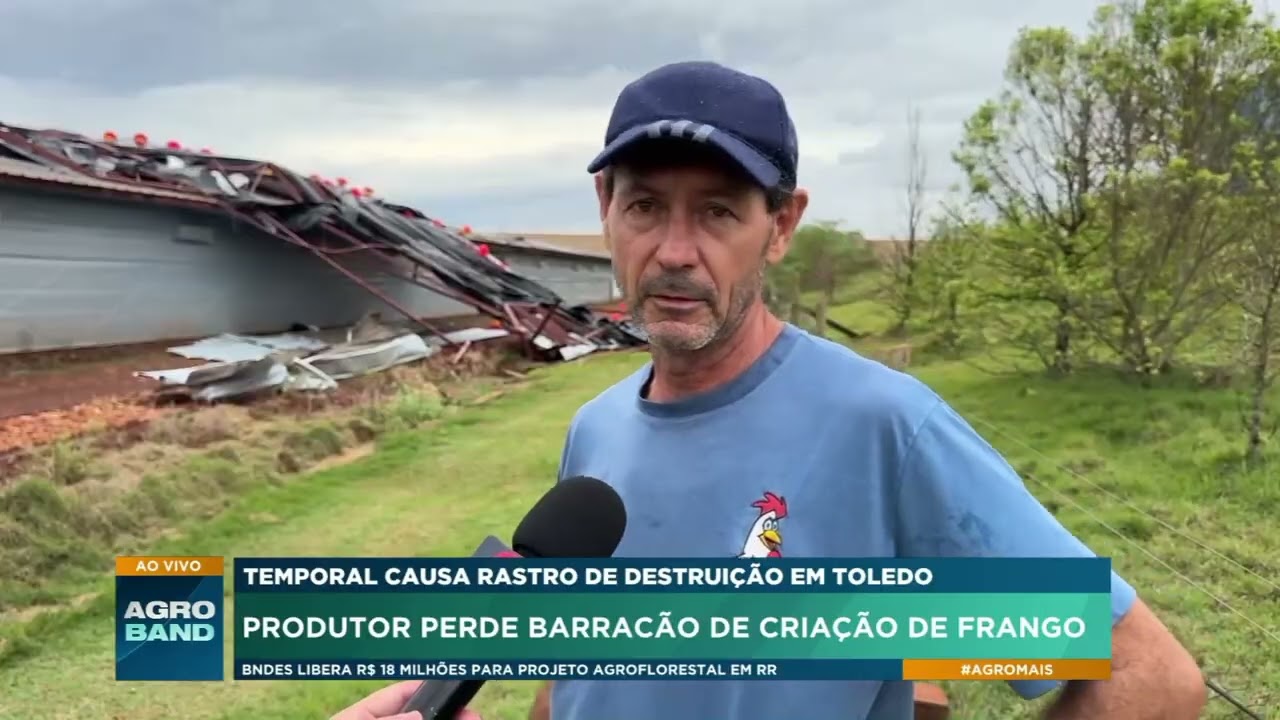 Temporal destrói barracão de criação de frangos e porcos no Paraná