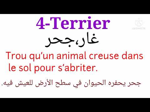 Mots de la même famille (T E R R E)