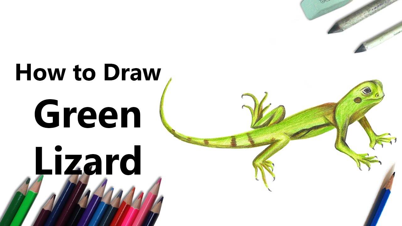 How to Draw a Green Lizard with Color Pencils [Time Lapse]