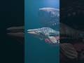 Who would eat who? Megalodon vs Mosasaurus