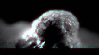 SUNK - MAL ENFERMO (VIDEO)