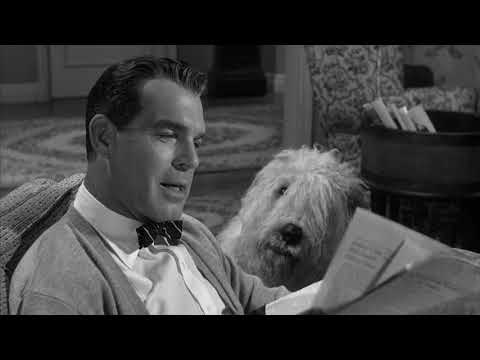 The Shaggy Dog (1959)