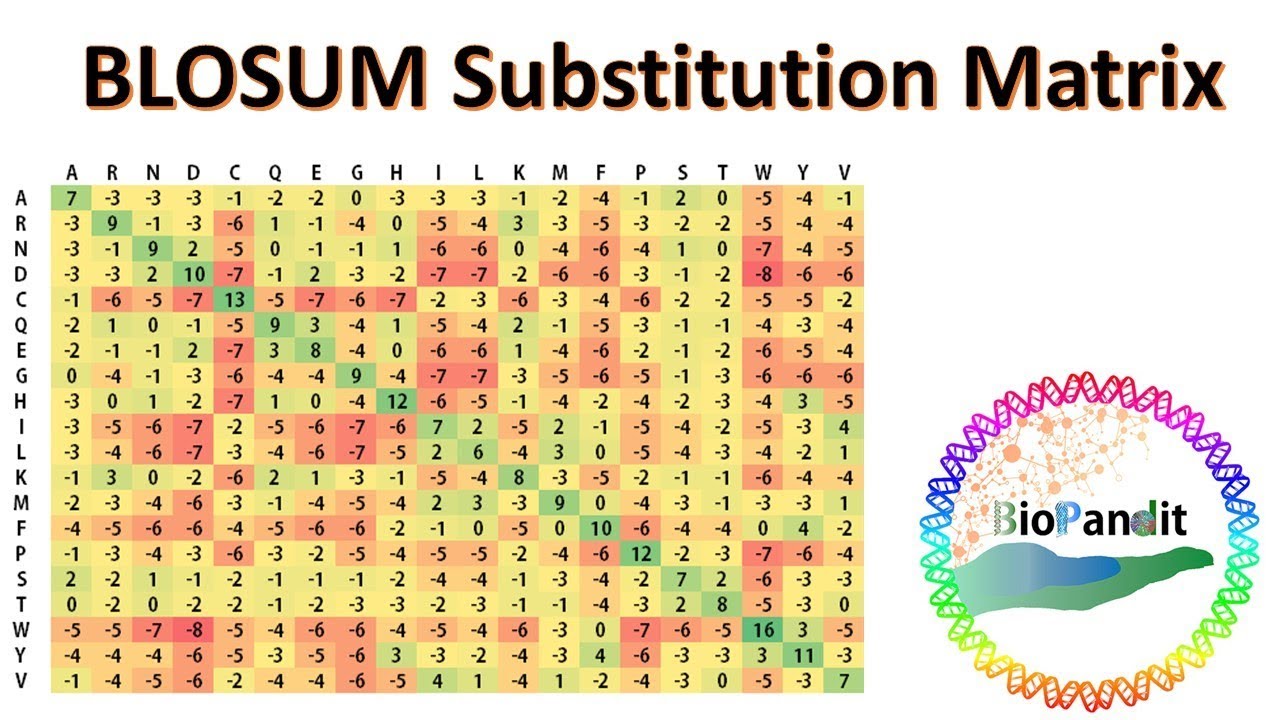 BLOSUM Substitution Matrix