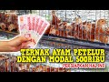 Raising Egg Laying Hens With A Capital Of IDR 500 000 Prepare This