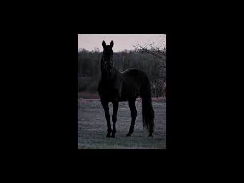 Metononzim Music - Wait I can do that better (Says the Sky) - Edit audio