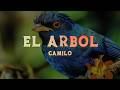 Camilo - El Árbol (Lyrics/Letra)