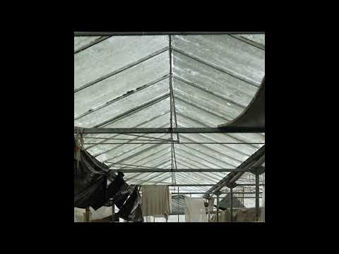 Collective Thoughts Part 3: The Air of Spring