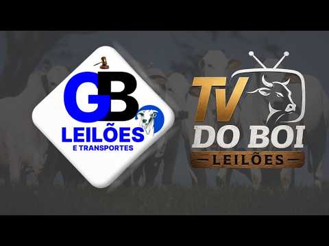 GB LEILÕES - COLINAS DO SUL - GO - 27/07/2026