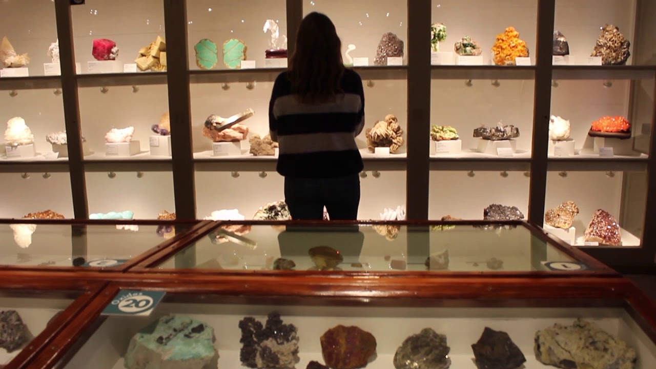 Harvard Museum of Natural History Quick Tour