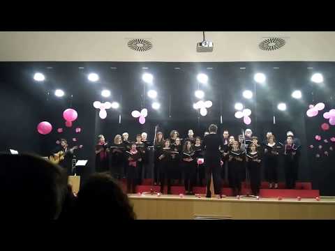 La Rosa de Paper - Xilcoralxes