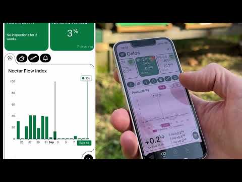 Monitoraggio del peso