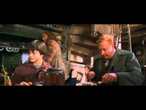 Harry Potter and the Chamber of Secrets - Harry's first time at the Weasley's home (HD)