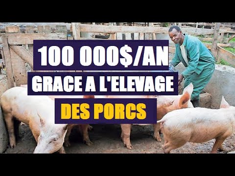 , title : 'Comment démarrer et gérer une entreprise d'élevage porcin en Afrique Gagnez 100 000 $ par an'