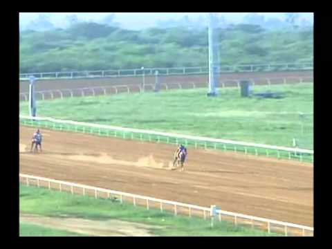 1ra. Carrera Jueves 31 de Octubre de 2013 SANTA RITA