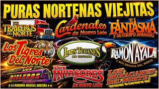 💥PURAS NORTEÑAS VIEJITAS MIX 🔥Puros Clásicos | Tigres, Tucanes, Ramón Ayala ,Invasores, Cardenales MQDEFAULT Thumbnail