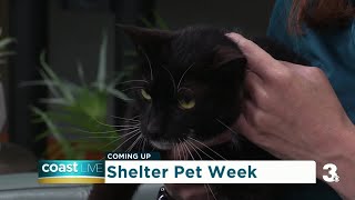 VBSPCA on Coast Live