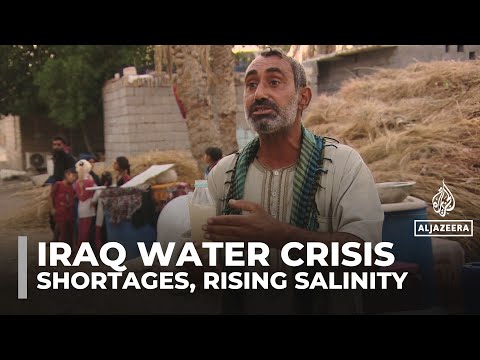 Water shortages and rising salinity in Basra, southern Iraq, turn into a fight for survival
