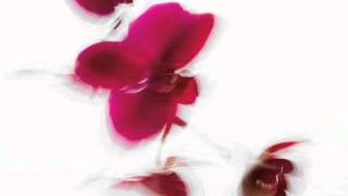6th sense - Illusion