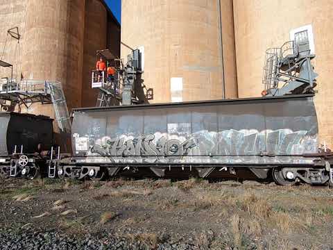 Trundle NSW grain train loading.   Fri 27th Nov 2020