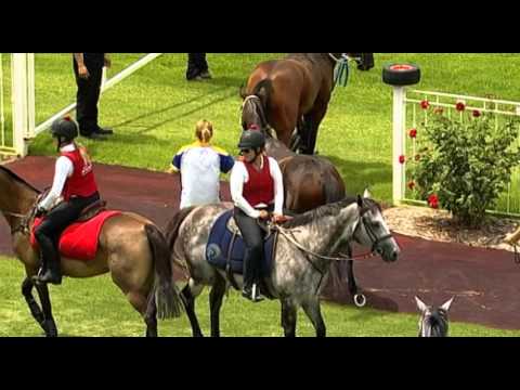 Ascot, 20/01/2015 - Race 2 - CULVERIN - Fred Kersley & Randy Tan