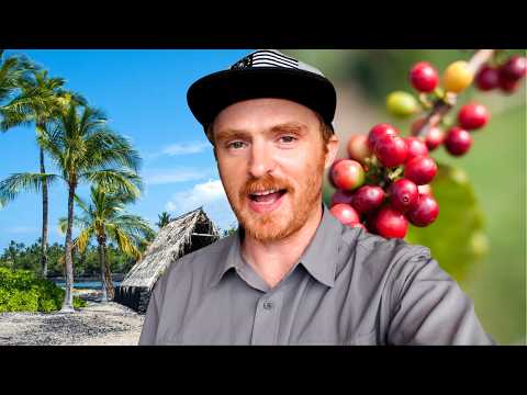 夏威夷科納旅遊全攻略 🌴🐝 | 科納必玩景點推薦！ (KONA TRAVEL GUIDE 🌴🐝 | Things to DO in Kona, Hawaii)