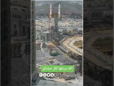 الله يرزقها لكلّ مشتاق! د. محمد نوح