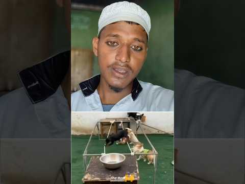 Apna talent ko logo ki samny nikalo 😎//Ya jomana dekhna ki jomana han 🥺/ #youtubeshorts #besttalent