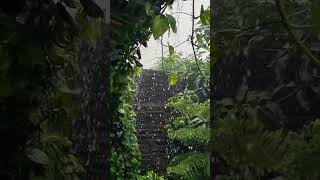 Monsoon #monsoon #rainfall #geography #climatechange #education #engg #trending #hydrology #music