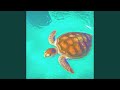 The Turtle Song