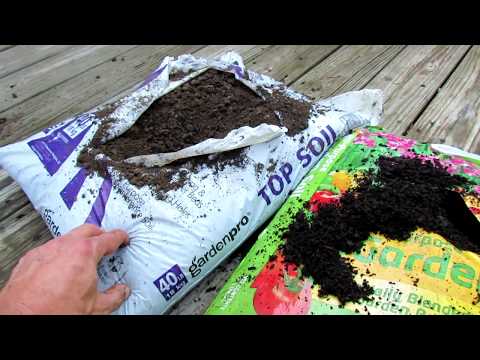 Types of Potting Soil