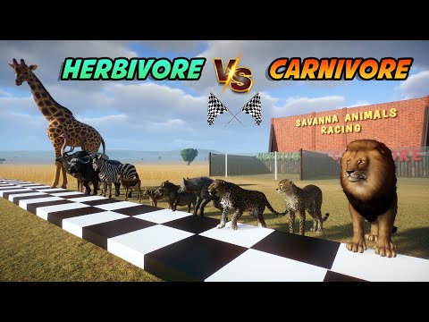 Carnivore VS Herbivore Savanna Animals Race in Flat Track included Lion, Giraffe, Ostrich & Zebra