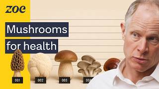 The fungi scientist: The #1 mistake you're making when eating mushrooms for health