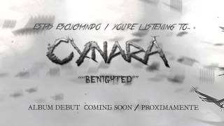 CYNARA - "Benighted"