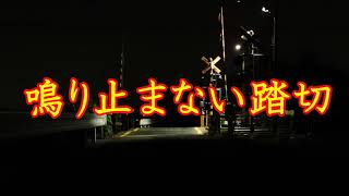 【怪談朗読】鳴り止まない踏切【怖い話】